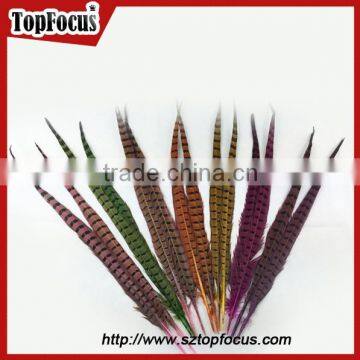 50-55 CM natural bulk ringneck tail pheasant feathers for wedding decoration