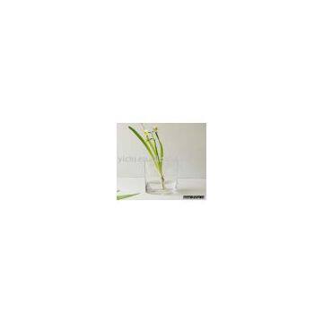 Glass Flower Vase