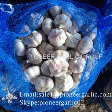 Jinxiang Shandong Fresh Normal White Garlic 5cm Loose Packing in Mesh Bag