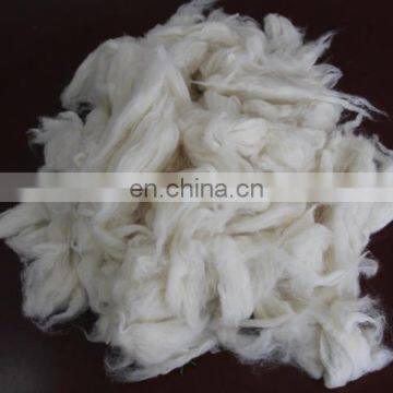 sheep wool open tops white for woolen spinning