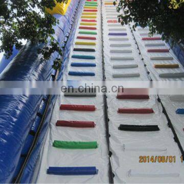 Giant Inflatable Hippo Slide WS070 photo-4