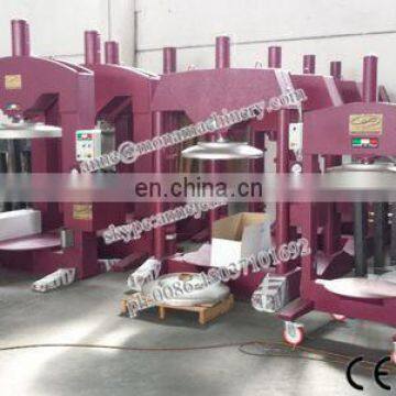 Ice Grape Juice Machine/ice Wine Press