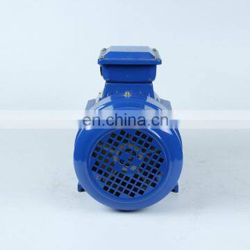 YE2-80M1-2 High Efficiency Three-Phase Electric Motors Series AC Motor 750W 1HP photo-2