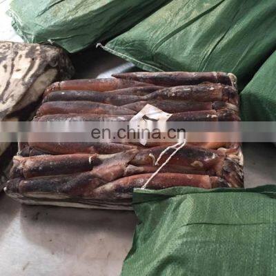 Frozen Argentina Illex Squid Frozen Illex Squid Price photo-3