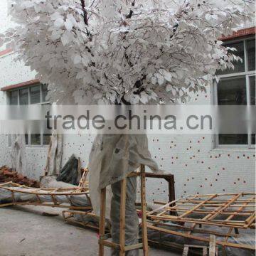 Factory New Products Artificial Ficus Tree for Decoration on Sale photo-6