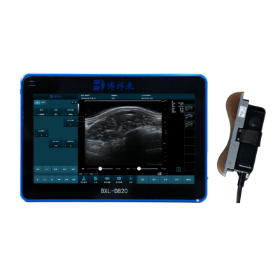Color Doppler Cattle OPU Veterinary Ultrasound Machine BXL-DB20 photo-5