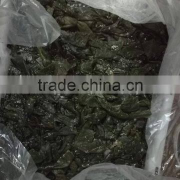 Hot Sale Frozen Seafood Seaweed Salted Laminaria Kelp Buyers photo-4