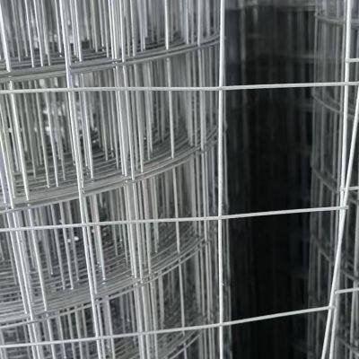 Hot Dipped Galvanized Welded Wire Mesh Rolls for Construction and Fencing