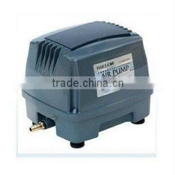 Pond air pump