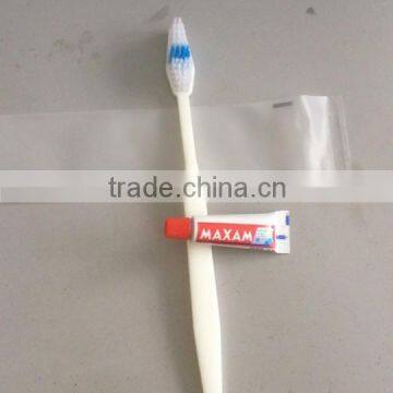 disposable toothbrush with toothpaste