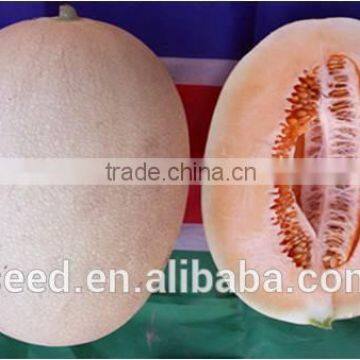 Balan No.3 export hami melon seeds