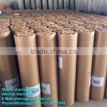 2x2 galvanized welded wire mesh----WMSL033