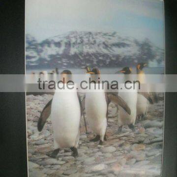 3D penguin frame photos 3D lenticular framed wall photo for home decoration