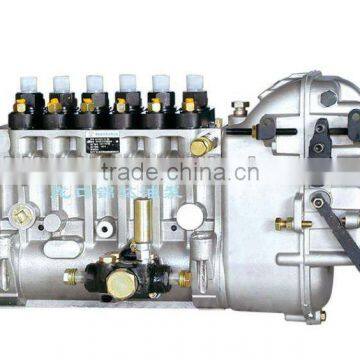 BP6073(XC.62.08.02.1000) P9 6 cylinders fuel pump