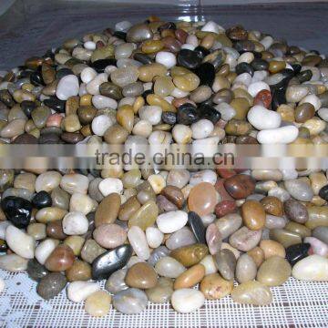 Multicolor Pebble Stone Cobble Stone