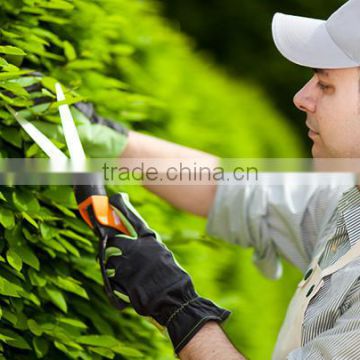 House Gardener for Saudi Arab