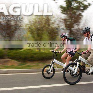 Seagull GL -electric bike in korea/ new design / new experience for electric bicycle fans