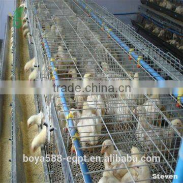 poultry battery cages for chicken