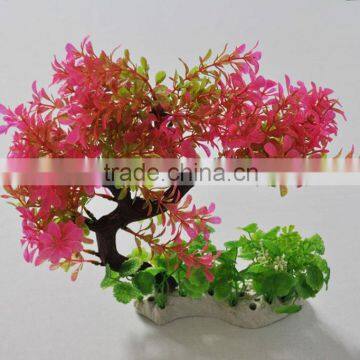 Cheap Water Bottling Plant photo-3