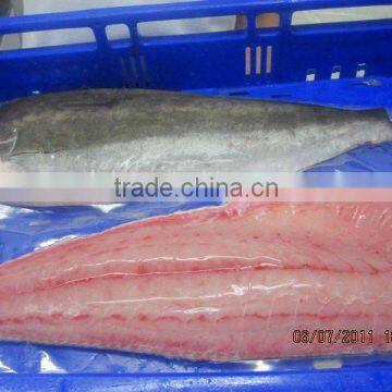 SASHIMI COBIA FILLET