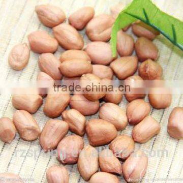 Chinese good quality round shape peanut kernels/groundnut kernels