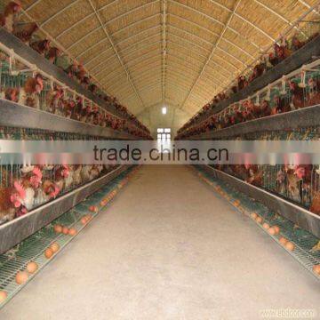 2015 New design steel structure chicken house