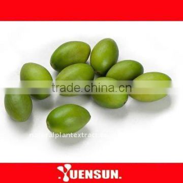 Lower blood pressure/ Olive Leaf Extract / Oleuropein 35% HPLC