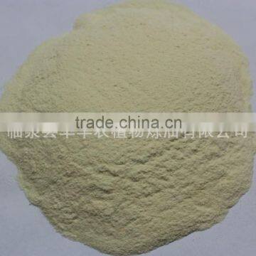 Dehydrated Garlic Powder, Grade A Quality from Chinese Factory, White Color