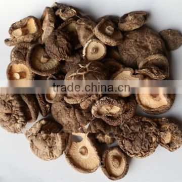 Dehydrated Shiitake Mushroom