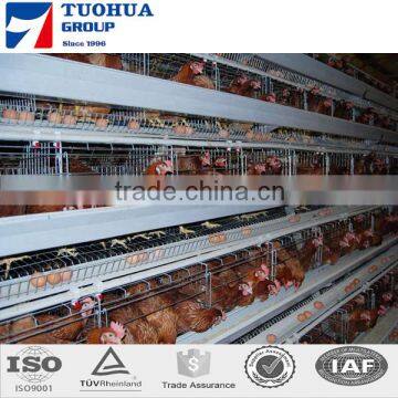 Broiler chicken cage,poultry farm layer cage