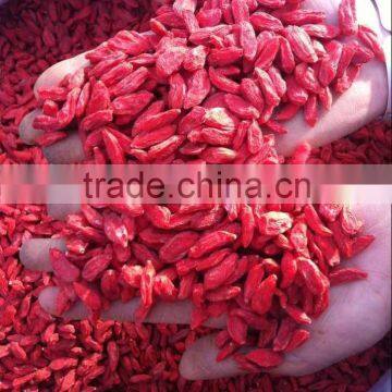 Dried Goji Berry 2015 Harvest