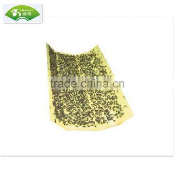 Insect Killer For Garden Fly Glue Quality Fly Glue Board Fly Glue Trap