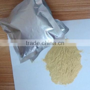 Hydrolyzed lecithin powder