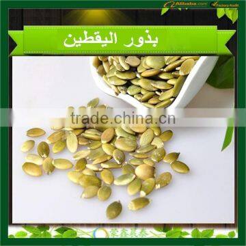 2015 New Crop Shine Skin Pumpkin Seeds, Pumpkin Seeds in Shell photo-4