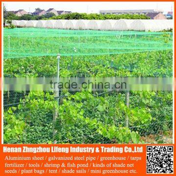 top quality nylon fruit anti bird protective net , hdpe uv wire mesh bird capture net , pe plastic fence bird protection net