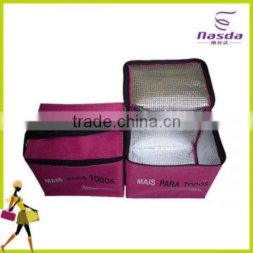 non-woven fabric cooler bag with EPE