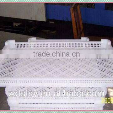 plastic meat /kebab freezer tray with hot type