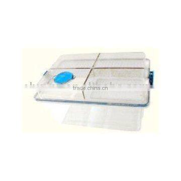 IVC rat cage