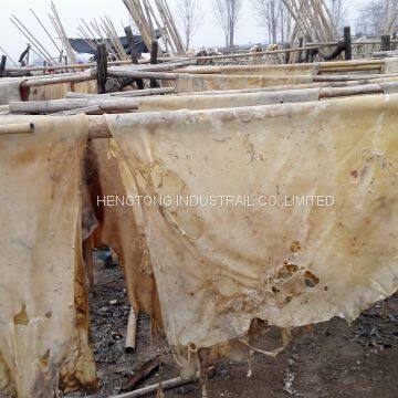 Series of Cattle Hide Split for Gelatin's Raw Material photo-3