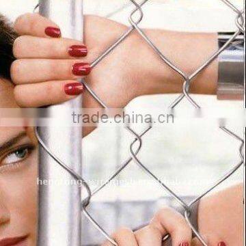 High Quality Garden Plastic Edging Fence/Chain Link Fence for Europe Market