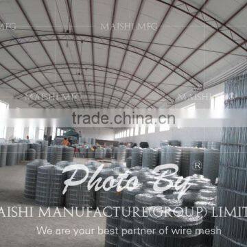 Galvanized Mesh Screen photo-4