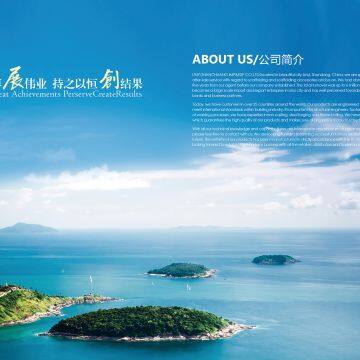 LINYI ZHANCHUANG IMP