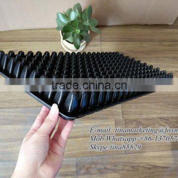 Professional Design PS Type Plastic Vegetable Planting Nursery Seed Starting Tray With 200 Holes photo-3