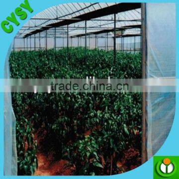 Anti UV 200 Micron Plastic Film/green House Covering Material
