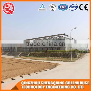 Factory direct large glass agricultural greenhouses steel frame for sale