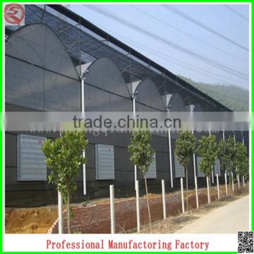 plastic multi-span/single-span greenhouse for plant growing with arched type