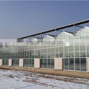 Glass Horticultural Greenhouse for flower growing