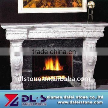 Modern fireplace insert