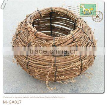 Calamus Beccarii Flowerpot &narcissus Pot &flower Basket