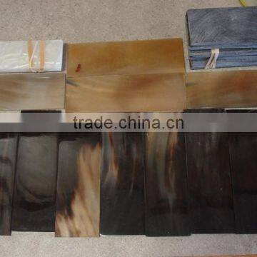 Blank Buffalo Horn and Bone Plates